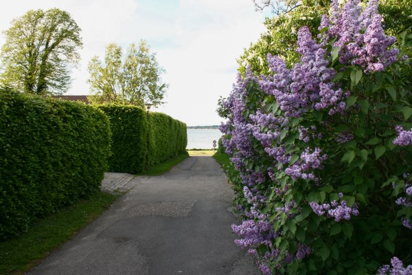 Billede fra Stubbekøbing